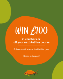 Win £100 this August in our social media competition!