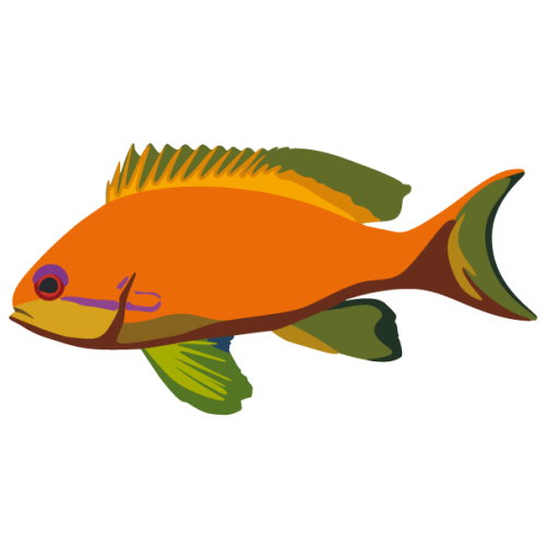 Anthias fish