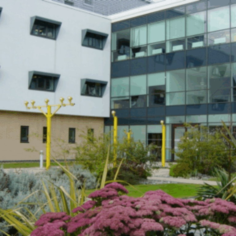 Anthias Consulting Ltd Environmental Policy