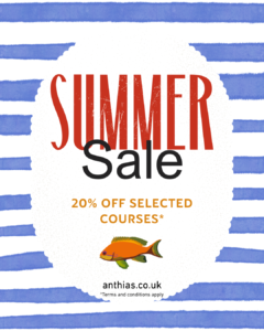 Summer sale 2026