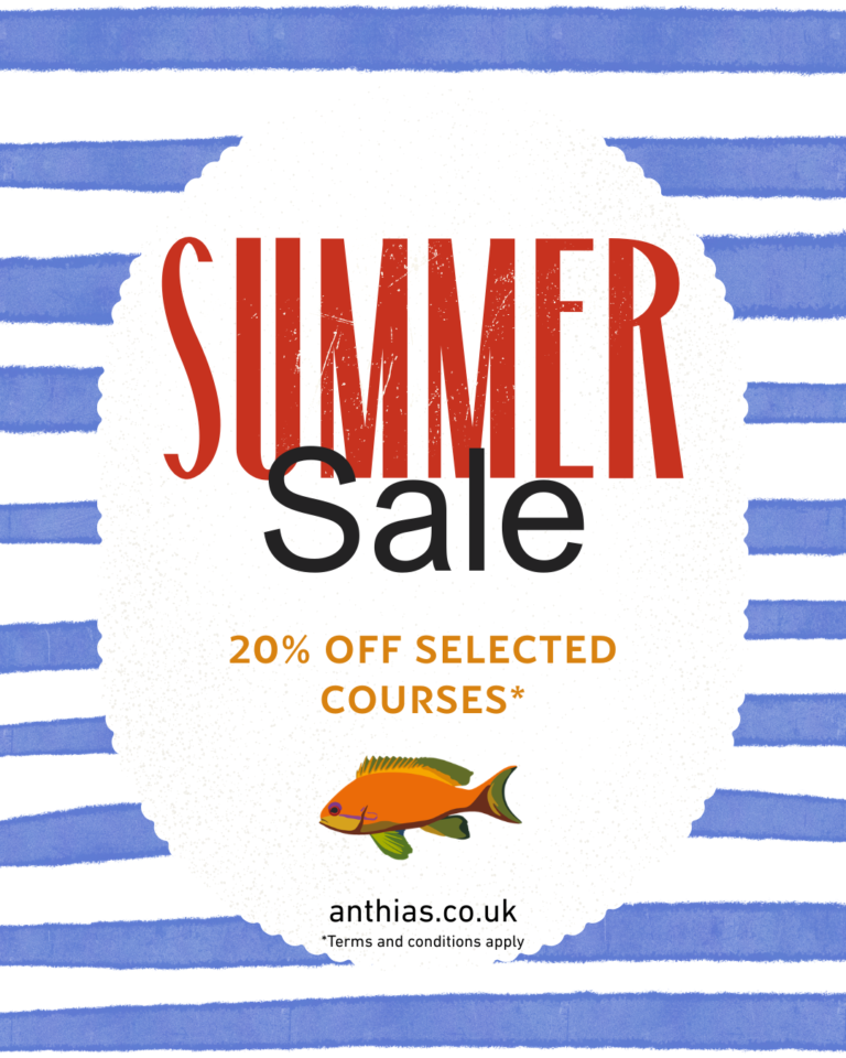 Summer sale 2026