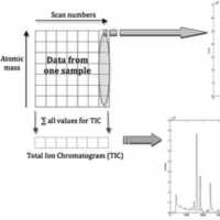 Data from one sample